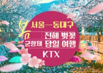 KTX - 환상의 진해벚꽃 & 군항제 여행 (당일) - 왕복 동대구역
