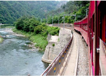 [ITX마음-당일]NEW*중식/음료제공*[협곡열차②] 분천산타마을+백두대간수목원