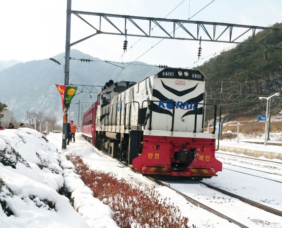 [협곡열차①] 천혜의 협곡을 달리다, 영월 단종의 흔적 여행