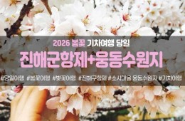 [경상권/충청권/수도권출발] 진해군항제&소사마을 웅동수원지(당일)