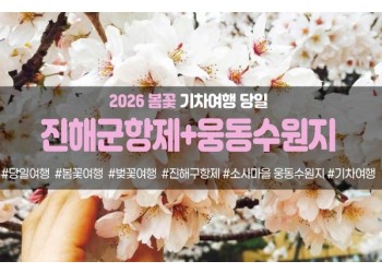 [경상권/충청권/수도권출발] 진해군항제&소사마을 웅동수원지(당일)