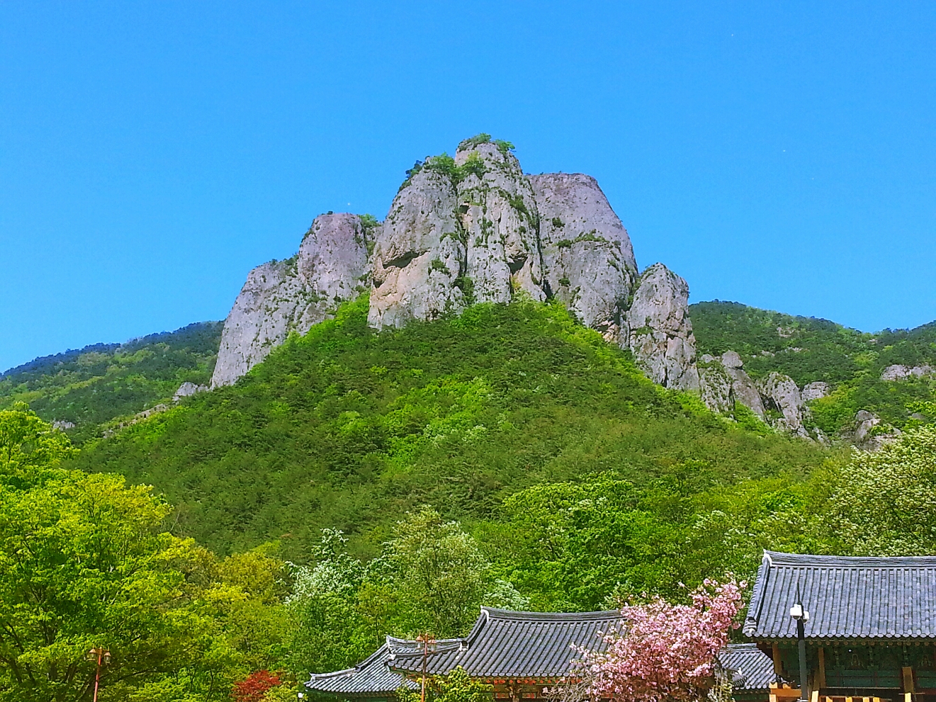 [KTX] 경북파노라마 안동하회마을*주왕산*영덕강구항 1박2일