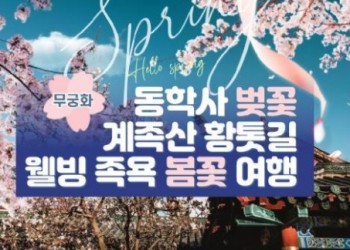 무궁화호 - 계룡산 동학사 벚꽃 & 계족산 황톳길 & 웰빙 족욕 여행(당일)