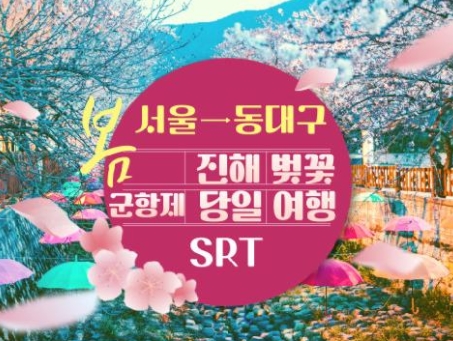 SRT - 환상의 진해벚꽃 & 군항제 여행 (당일) - 왕복 동대구역