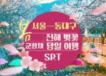 SRT - 환상의 진해벚꽃 & 군항제 여행 (당일) - 왕복 동대구역