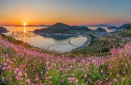 [KTX-용산역/광명역/오송역1박] 청산도/보길도/땅끝마을/완도 여행 (1박2일)