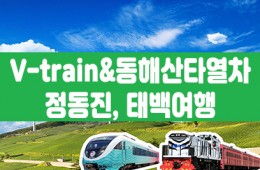 [태백택시투어 1코스] 협곡열차 & 동해산타열차 정동진, 태백투어(당일)