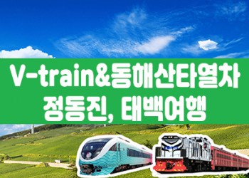 [태백택시투어 1코스] 협곡열차 & 동해산타열차 정동진, 태백투어(당일)