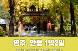 [수도권/충청권/경상권]영주 부석사&안동 예끼마을,협곡열차 1박2일