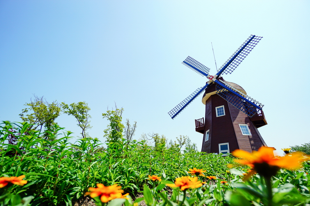 [수원출발] KTX+무궁화호- 전라남도 별미 구석구석 & 담양,보성,남해,여수.순천 여행(2박3일)