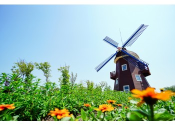 [수원출발] KTX+무궁화호- 전라남도 별미 구석구석 & 담양,보성,남해,여수.순천 여행(2박3일)