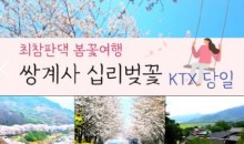 KTX - 환상의 쌍계사 십리벚꽃*화개장터 & 최참판댁 봄꽃여행(당일)