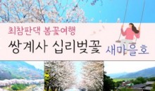 수원역/천안출발) ITX-새마을 - 환상의 쌍계사 십리벚꽃*화개장터 & 최참판댁 봄꽃여행(당일)