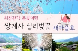 수원역/천안출발) ITX-새마을 - 환상의 쌍계사 십리벚꽃*화개장터 & 최참판댁 봄꽃여행(당일)