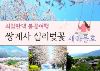 수원역/천안출발) ITX-새마을 - 환상의 쌍계사 십리벚꽃*화개장터 & 최참판댁 봄꽃여행(당일)