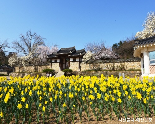 [서해금빛열차+예산관광택시]아름다운 예산 아그로랜드+예산시장