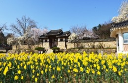 [서해금빛열차+예산관광택시]아름다운 예산 아그로랜드+예산시장