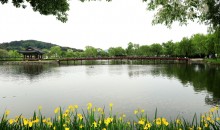 공주 마곡사&부여 정림사지&궁남지 @2식 제공 당일 기차여행