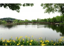 공주 마곡사&부여 정림사지&궁남지 @2식 제공 당일 기차여행