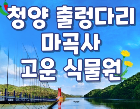 [KTX] 청양호 출렁다리 & 공주마곡사 당일여행-중식제공