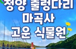 [KTX] 청양호 출렁다리 & 공주마곡사 당일여행-중식제공