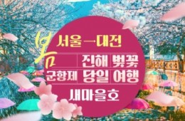 (수원역출발) ITX-새마을 - 환상의 진해벚꽃 & 군항제 여행 (당일) - 왕복 대전역