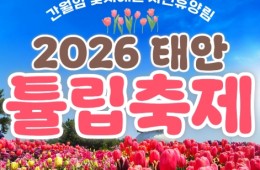 무궁화호 - 태안 세계튤립꽃박람회 & 간월도 & 안면도 봄꽃여행 (당일)