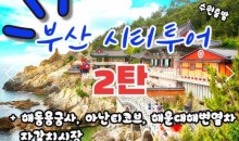 (수원출발)KTX+새마을 - 부산시티투어(2탄) - 해운대 해변열차 & 용궁사 & 아난티코브 여행(당일)