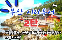 SRT - 부산시티투어(2탄) - 해운대 해변열차 & 용궁사 & 아난티코브 여행(당일)