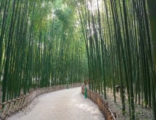 [KTX] 동해의 빛! 시간여행 경주+울산 태화강국가정원+부산 해변열차 기차여행 (1박2일)