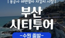 [KTX/수원출발] 부산시티투어 2탄 (용궁사&해운대 해변열차) 당일 기차여행-중식포함