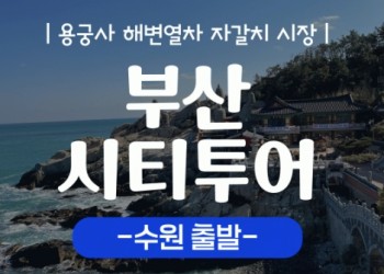 [KTX/수원출발] 부산시티투어 2탄 (용궁사&해운대 해변열차) 당일 기차여행-중식포함