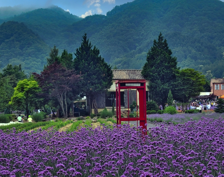 동해바다 고성 화진포&금강산 건봉사&속초 바다정원 당일