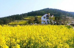 [ITX-새마을]청산도*완도*해남 대흥사 1박2일 (청산도 내 숙박)