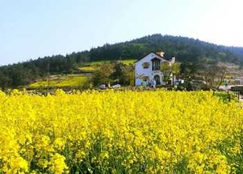 [ITX-새마을]청산도*완도*해남 대흥사 1박2일 (청산도 내 숙박)