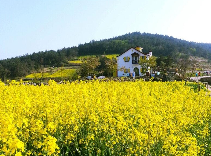 [SRT]청산도*완도*해남 대흥사 1박2일(청산도 내 숙박) 3월부터~