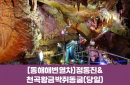 수도권/경상권출발-[동해 해변열차]정동진&천곡황금박쥐동굴(당일)
