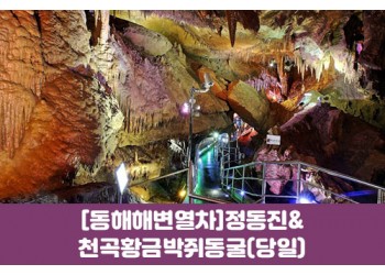 수도권/경상권출발-[동해 해변열차]정동진&천곡황금박쥐동굴(당일)