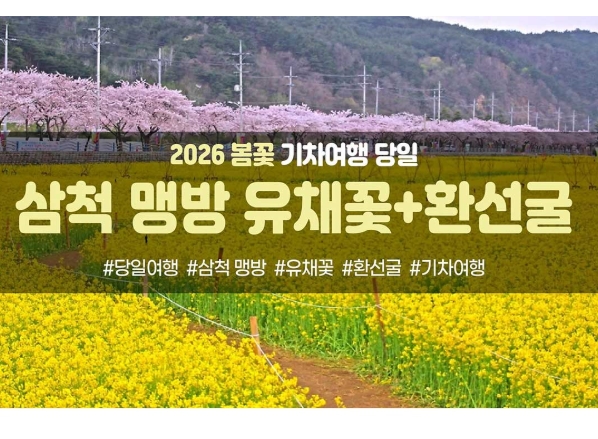 [수도권/충청권/경상권출발] [동해해변열차]삼척 맹방 유채꽃&환선굴(당일)