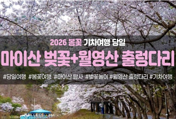 [수도권/충청권/경상권출발]★봄꽃★마이산 탑사 벚꽃&월영산 출렁다리(당일)