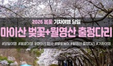 [수도권/충청권/경상권출발]★봄꽃★마이산 탑사 벚꽃&월영산 출렁다리(당일)