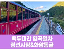 [경상권]백두대간협곡열차&정선5일장,화암동굴(당일)