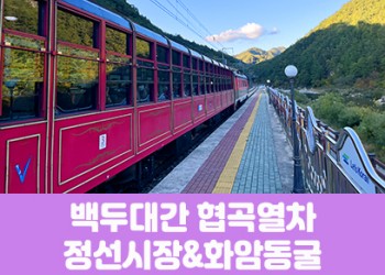 [경상권]백두대간협곡열차&정선5일장,화암동굴(당일)