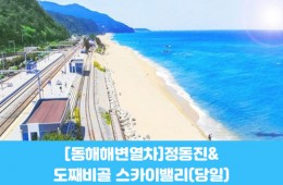 수도권/경상권출발-[동해 해변열차]정동진&도째비골 스카이밸리(당일)