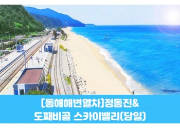 수도권/경상권출발-[동해 해변열차]정동진&도째비골 스카이밸리(당일)