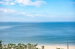 [5명이상 무조건출발] [서해금빛열차] 소규모로 즐기는 보령자유여행 (교통/입장료포함)