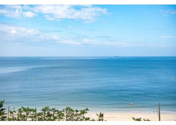 [5명이상 무조건출발] [서해금빛열차] 소규모로 즐기는 보령자유여행 (교통/입장료포함)