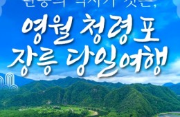 [무궁화호] 단종의 역사가 깃든 영월 청령포&장릉&청풍케이블카 당일 기차여행