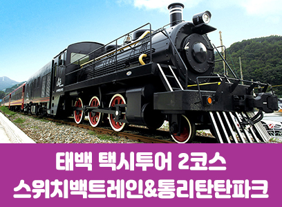 [태백택시투어 2코스]통리탄탄파크&스위치백트레인(당일)
