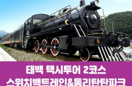 [태백택시투어 2코스]통리탄탄파크&스위치백트레인(당일)